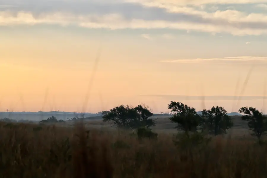 County Road 7, Turkey, TX 79261 - #3