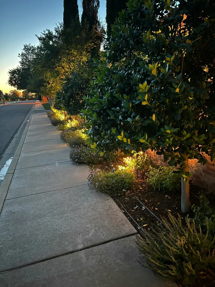 408 Troy Avenue, Lubbock, TX 79416 - #2