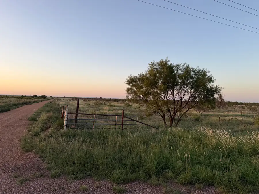 423 Fm 261, Spur, TX 79370 - #3