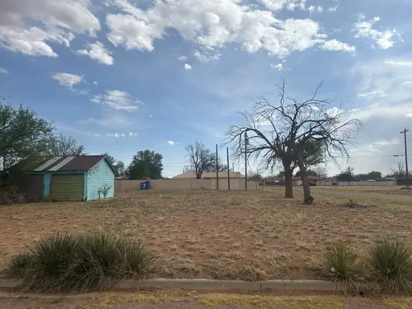 207 W 3rd Street, Levelland, TX 79336