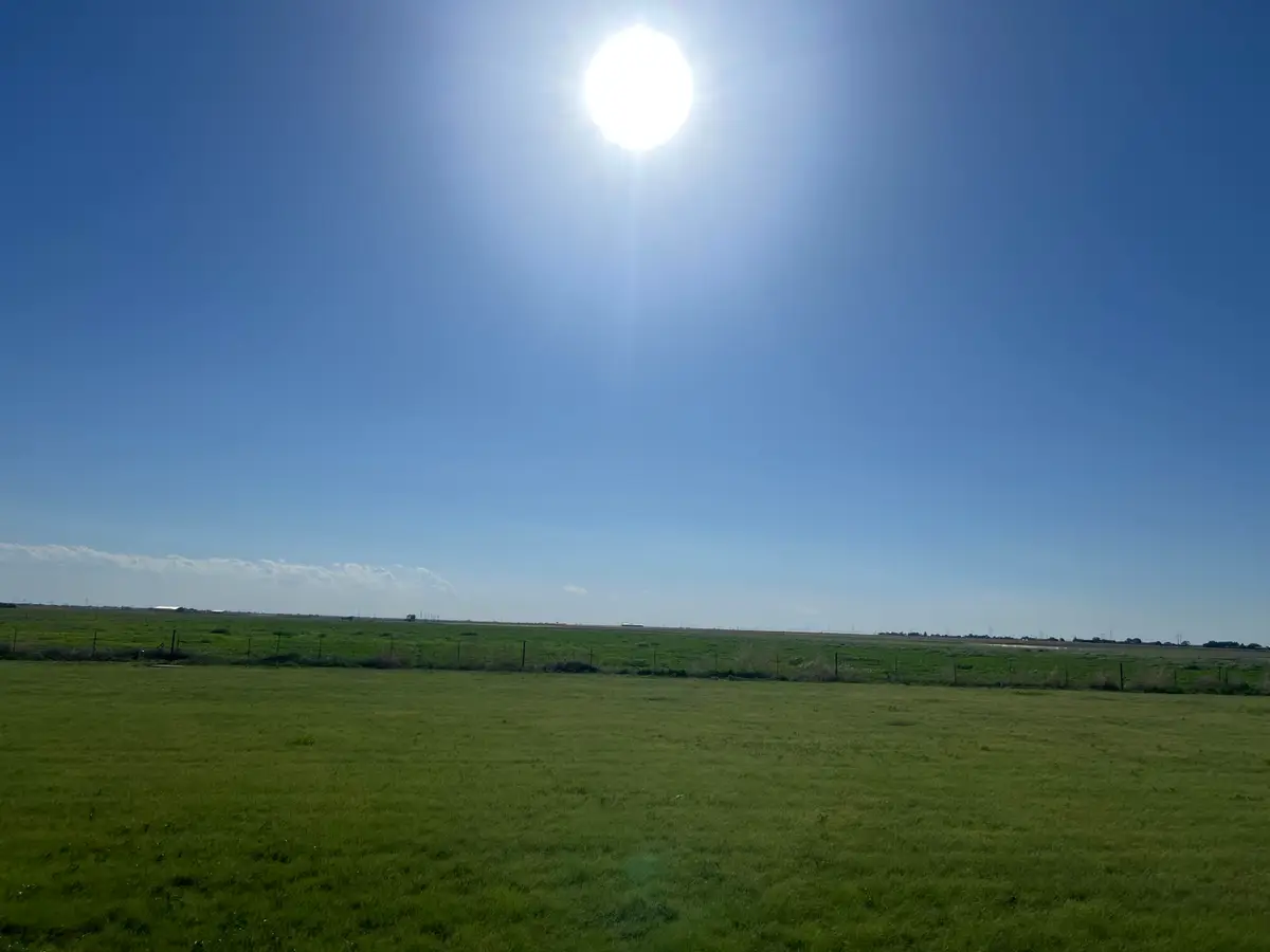 N County Rd 2100, Lubbock, TX 79415 - #1