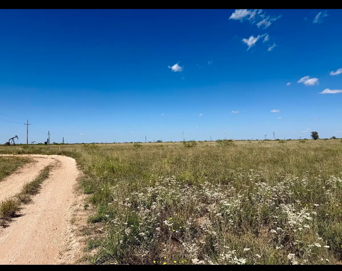 CR 121 / CR 290 County Road 121, Brownfield, TX 79316 - #1