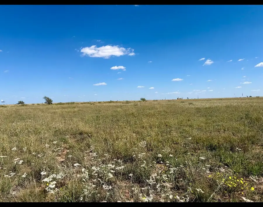 CR 121 / CR 290 County Road 121, Brownfield, TX 79316 - #3