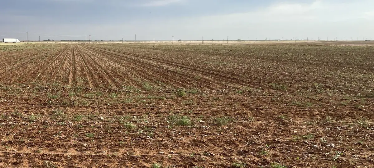 FM 2411 Fm 2411, Lamesa, TX 79331 - #1