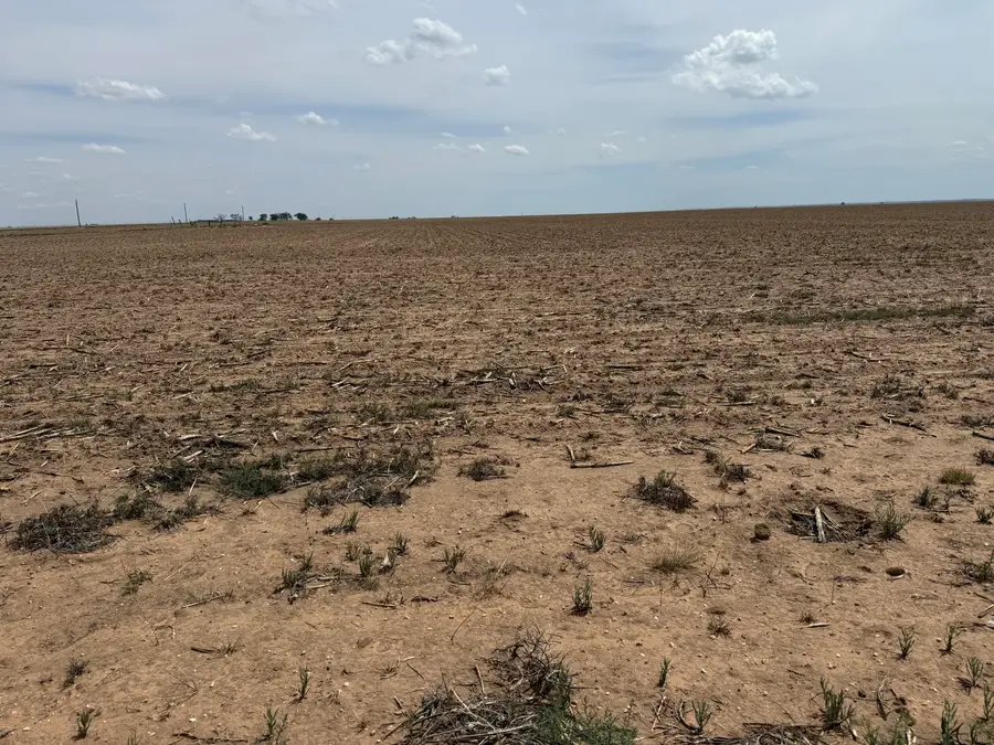 Co Rd 151, Littlefield, TX 79339 - #2