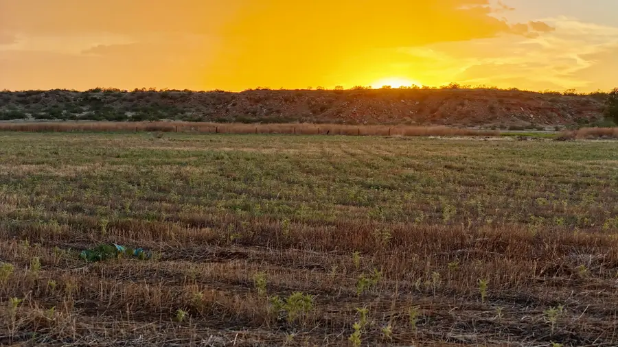County Road W, Boys Ranch, TX 79010 - #3