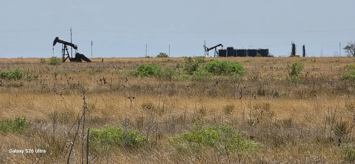 Monaco Road, Levelland, TX 79336 - #1