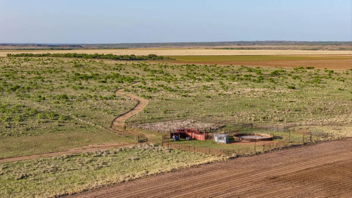489 County Road 243, Afton, TX 79220 - #1