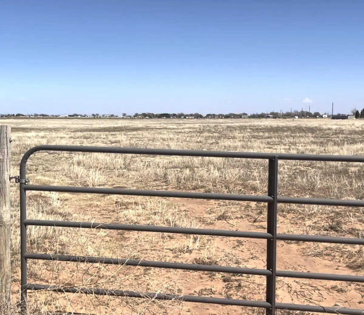 12873 County Rd 1300, Wolfforth, TX 79382 - #1