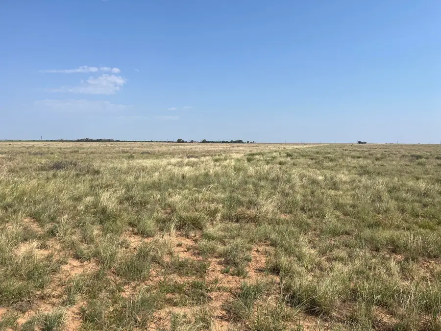 2511 Poland Road, Littlefield, TX 79339 - #3