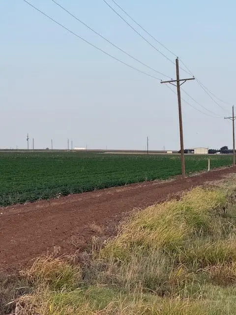 8001 F M 41, Wolfforth, TX 79382 - #3