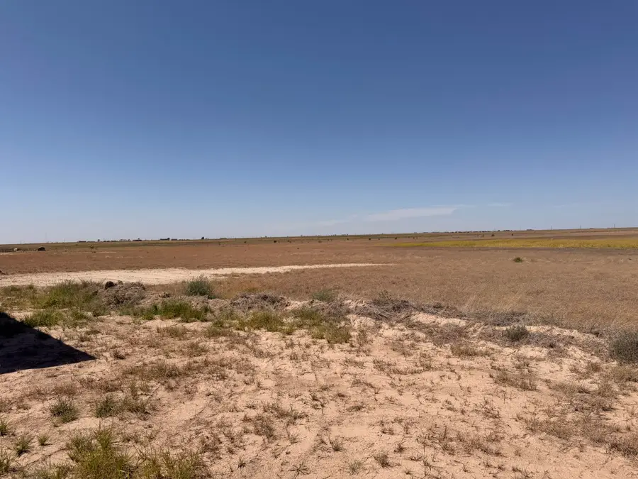 N County Rd 1300, Shallowater, TX 79363 - #3