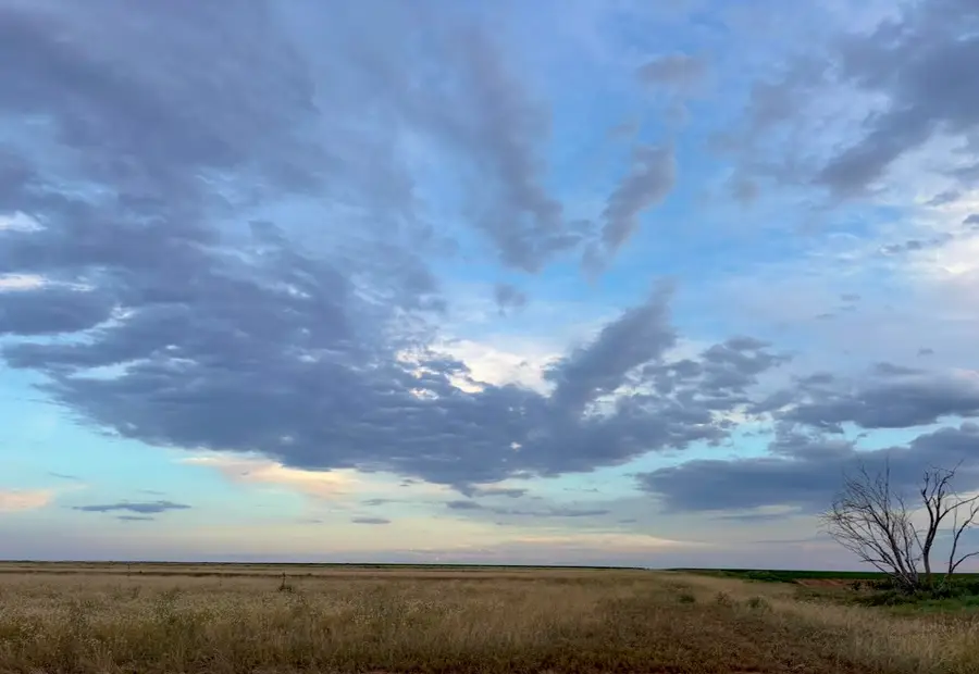 21512 Private Rd 1970, Lubbock, TX 79424 - #3
