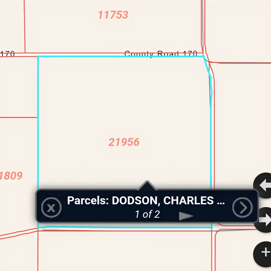 0 County Road 175, Hale Center, TX 79041 - #2