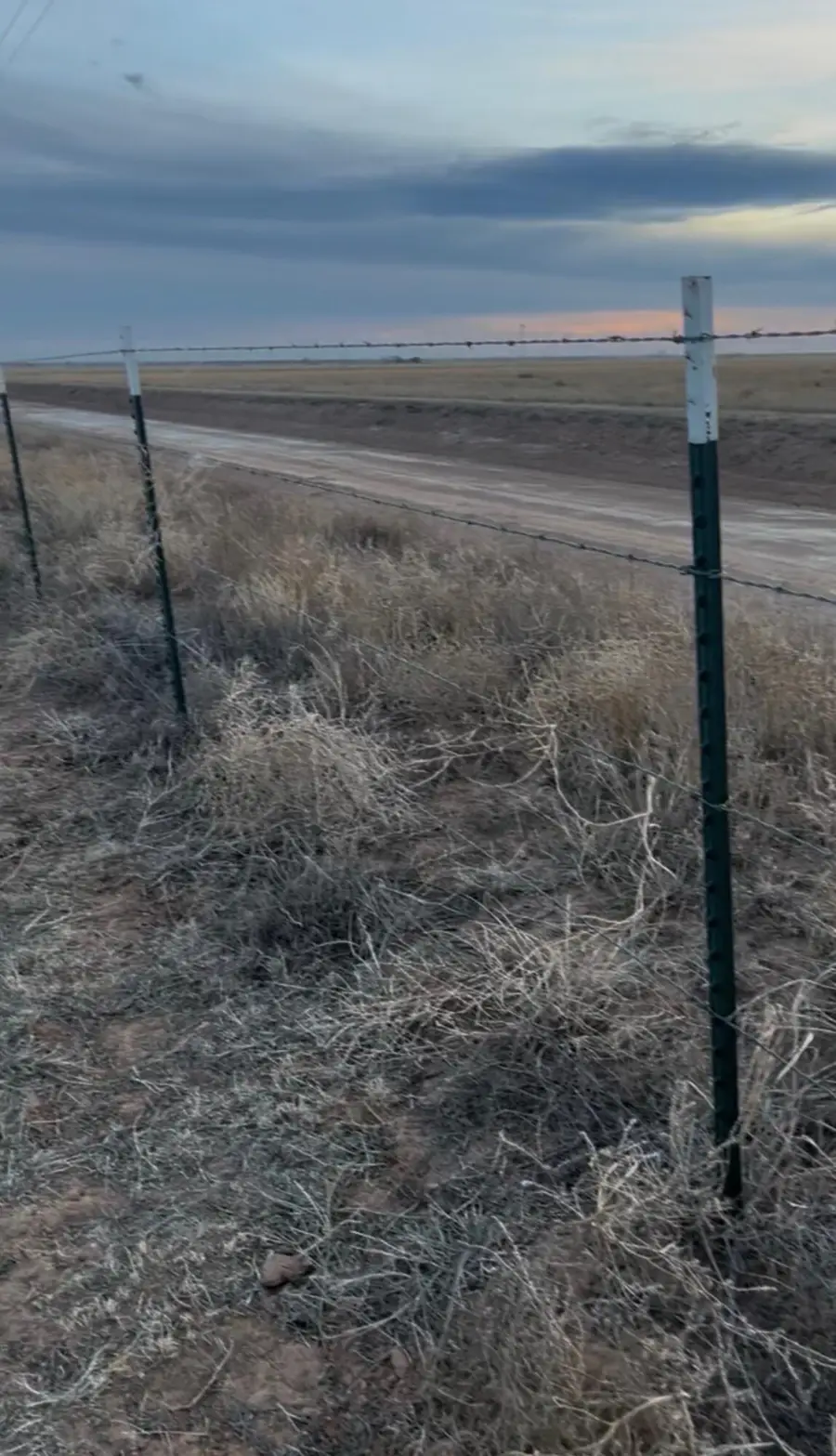 County Road 1018, Muleshoe, TX 79347 - #2