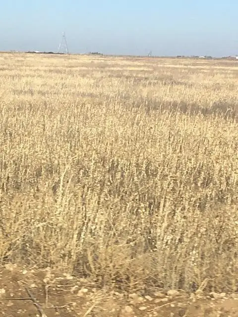 County Road 5700 County Road 5700, New Deal, TX 79350 - #3