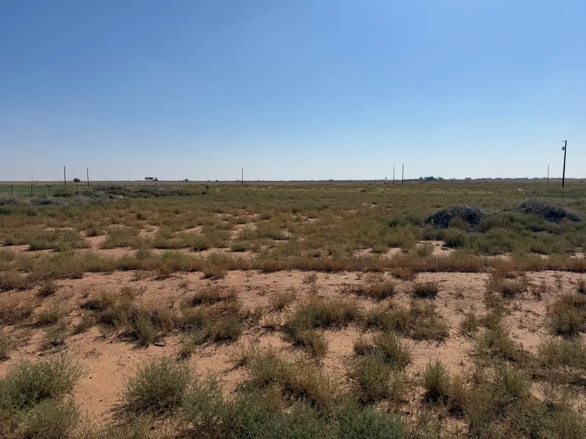 4049 Shannon Road, Ropesville, TX 79358 - #1