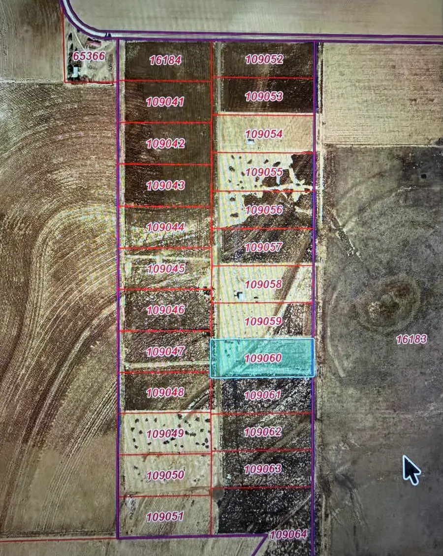 4049 Shannon Road, Ropesville, TX 79358 - #2
