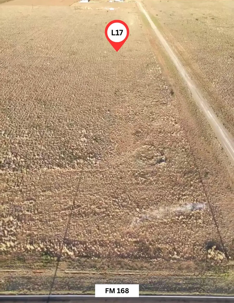 6425 Rockin T Rd, Ropesville, TX 79358 - #3