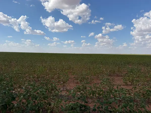 CR I Cr I, Lamesa, TX 79331