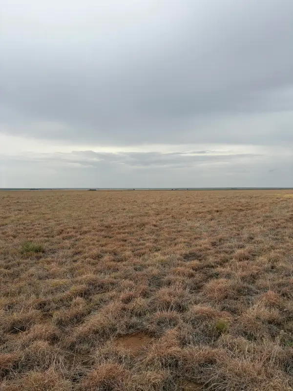 Co Rd 227, Sudan, TX 79371