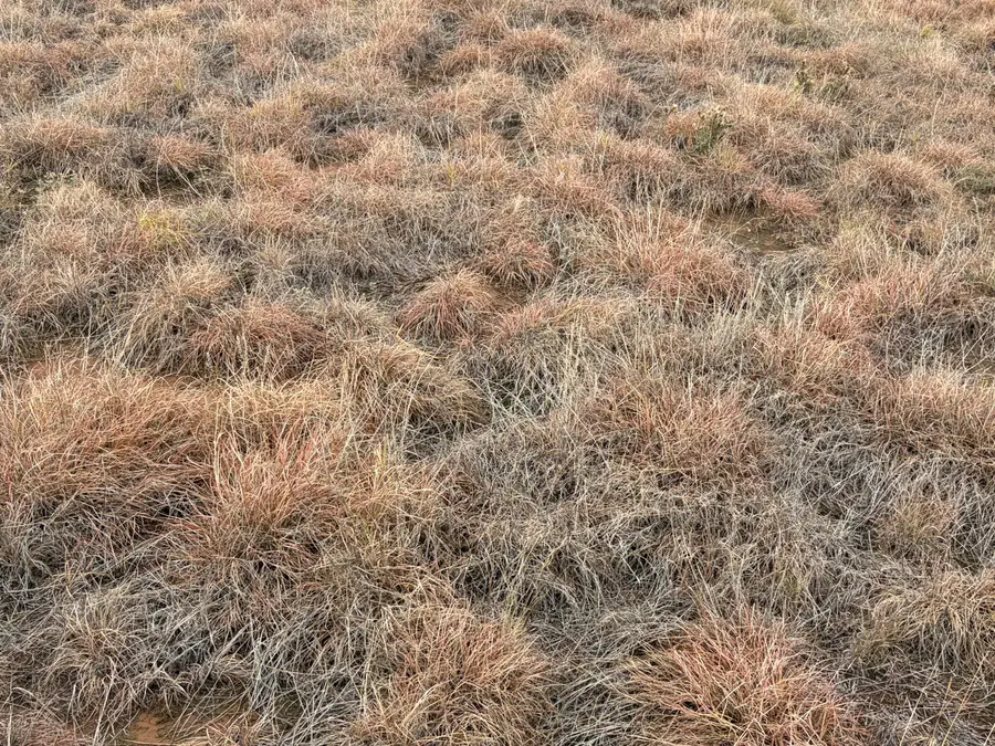 Co Rd 227, Sudan, TX 79371 - #3
