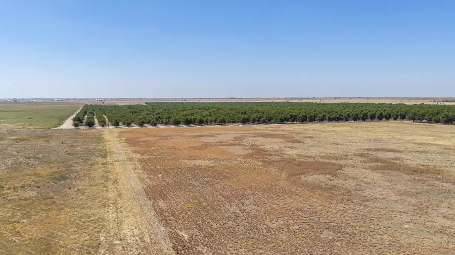 10700 Clovis Road, Shallowater, TX 79363 - #2