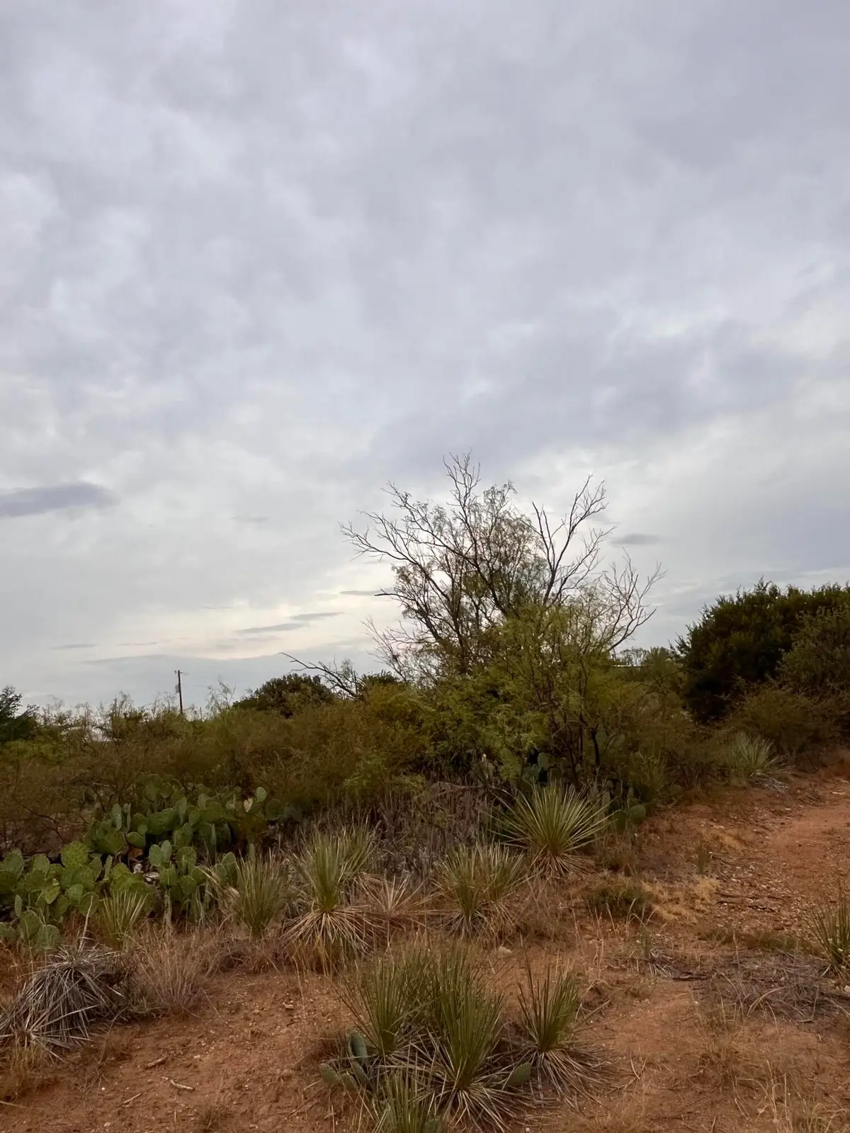 20 Lakesite Road, Spur, TX 79370 - #1