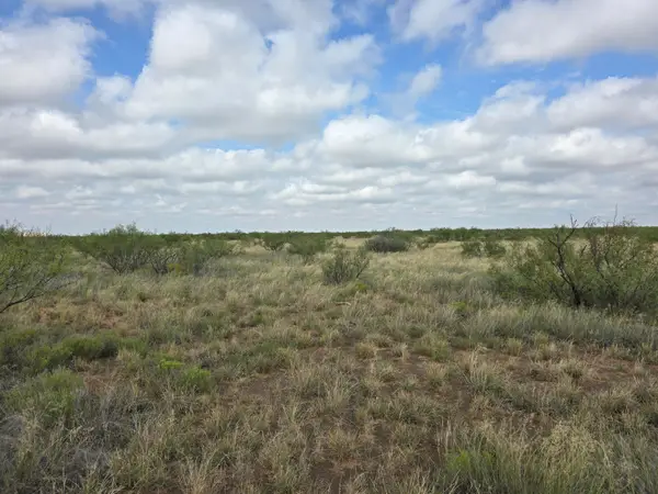 Nolley Lane, Andrews, TX 79714