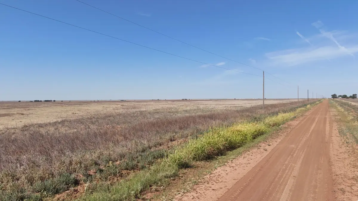 Co Rd L, Bovina, TX 79009 - #1