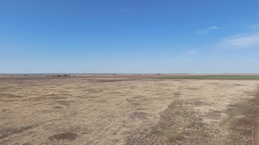 Co Rd L, Bovina, TX 79009 - #2