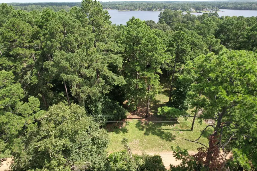 PARCEL #16386 Cedar Bend Road, Crockett, TX 75835 - #2