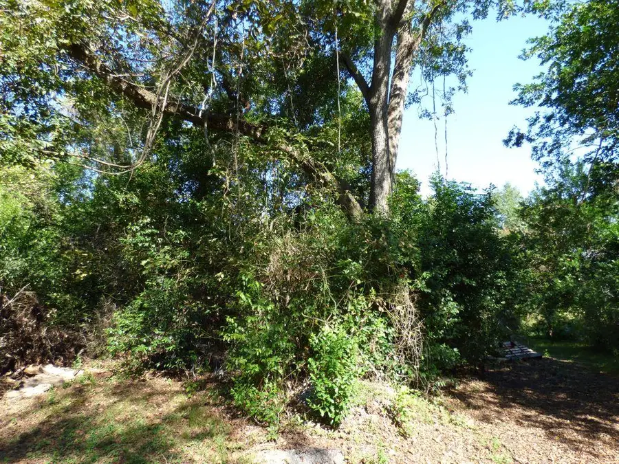 PID 81144 Runaway Lane, Nacogdoches, TX 75964 - #3