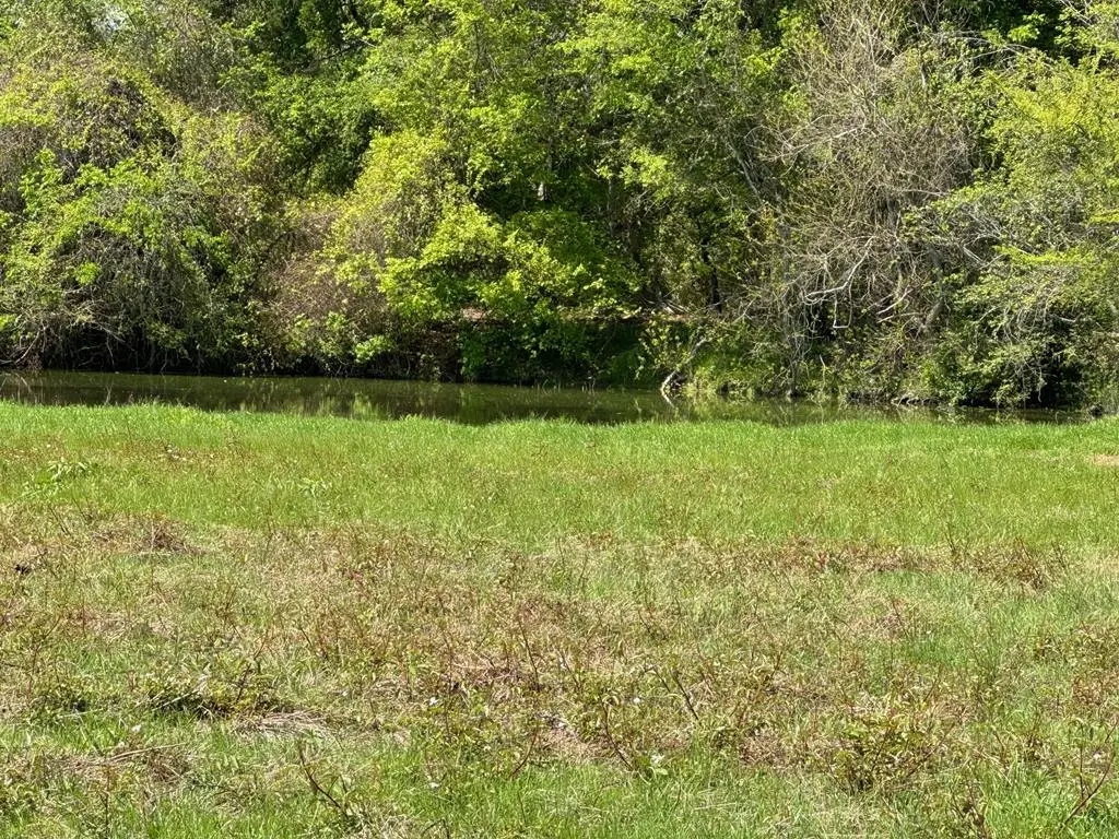 Tract #2 Southfield Trail, Lovelady, TX 75851 - #1
