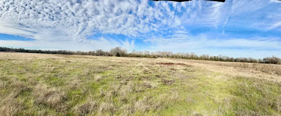 Tract #2 Southfield Trail, Lovelady, TX 75851 - #2