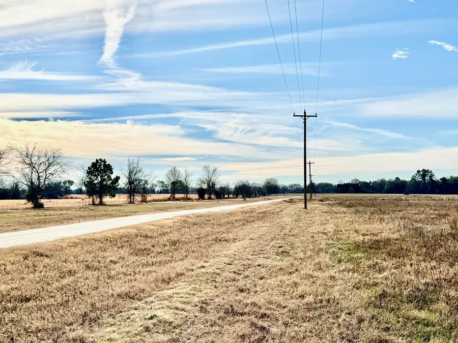 Tract #2 Southfield Trail, Lovelady, TX 75851 - #3