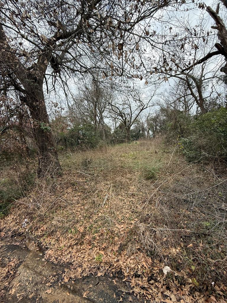619 Orton St, Nacogdoches, TX 75961 - #1