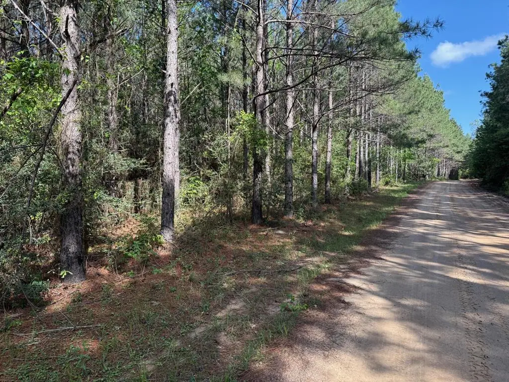 686 Pr 5102, Kennard, TX 75847 - #1