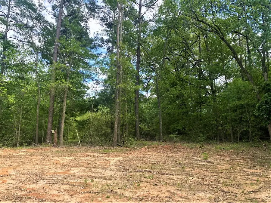PID 73315/73322 Woodland Oaks Drive, Garrison, TX 75946 - #3