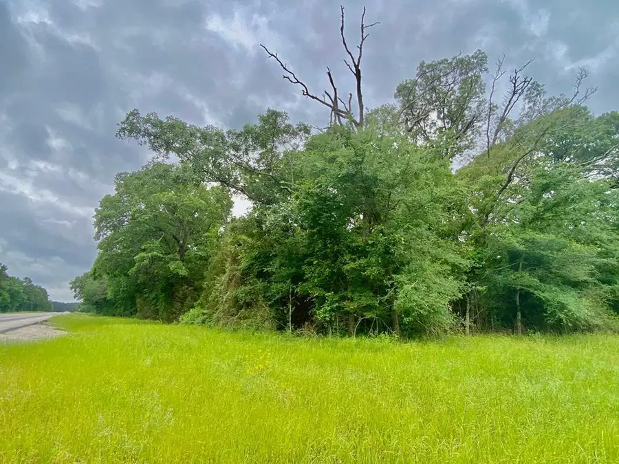 Tract 3A Hwy 19s, Elkhart, TX 75839 - #2