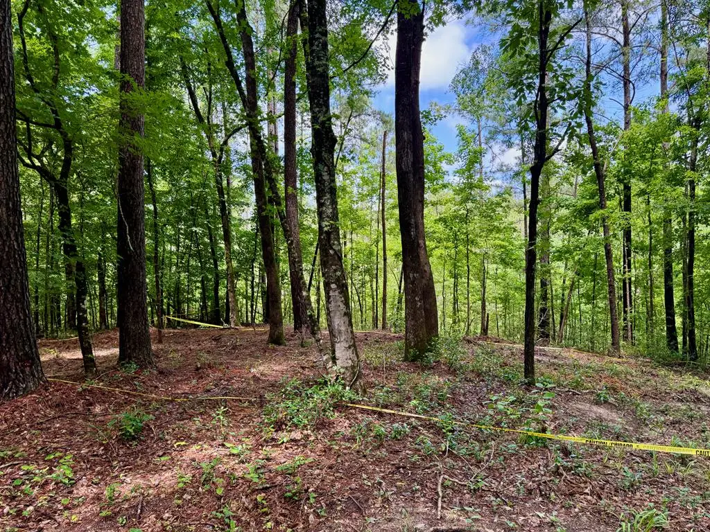 PID# 216865 Tanglewood Circle, Nacogdoches, TX 75961 - #1