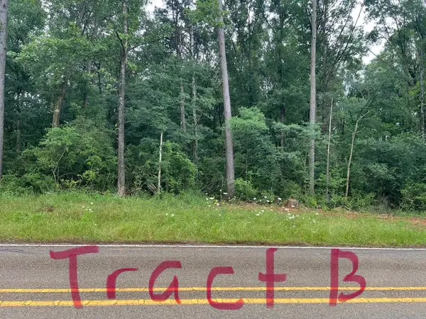 Tract B Fm 414, Center, TX 75935