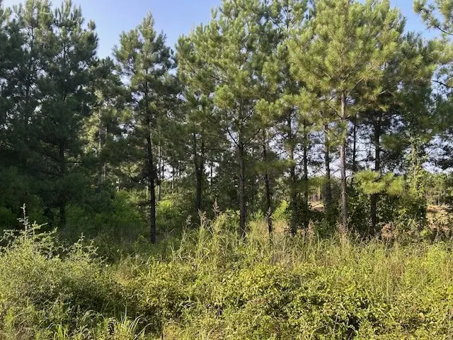 TBD Cr 1060, Center, TX 75935 - #2
