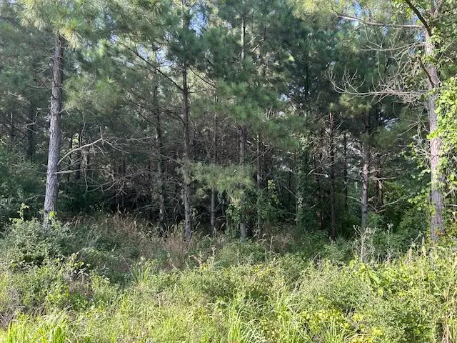 TBD Cr 1060, Center, TX 75935 - #3