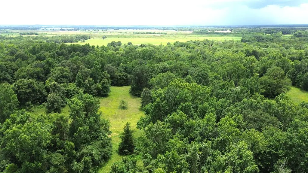 Tract 1 Cr 2065, Crockett, TX 75835 - #1