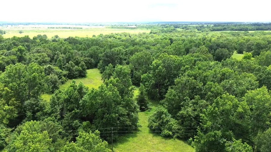 Tract #2 Cr 2065, Crockett, TX 75835 - #2