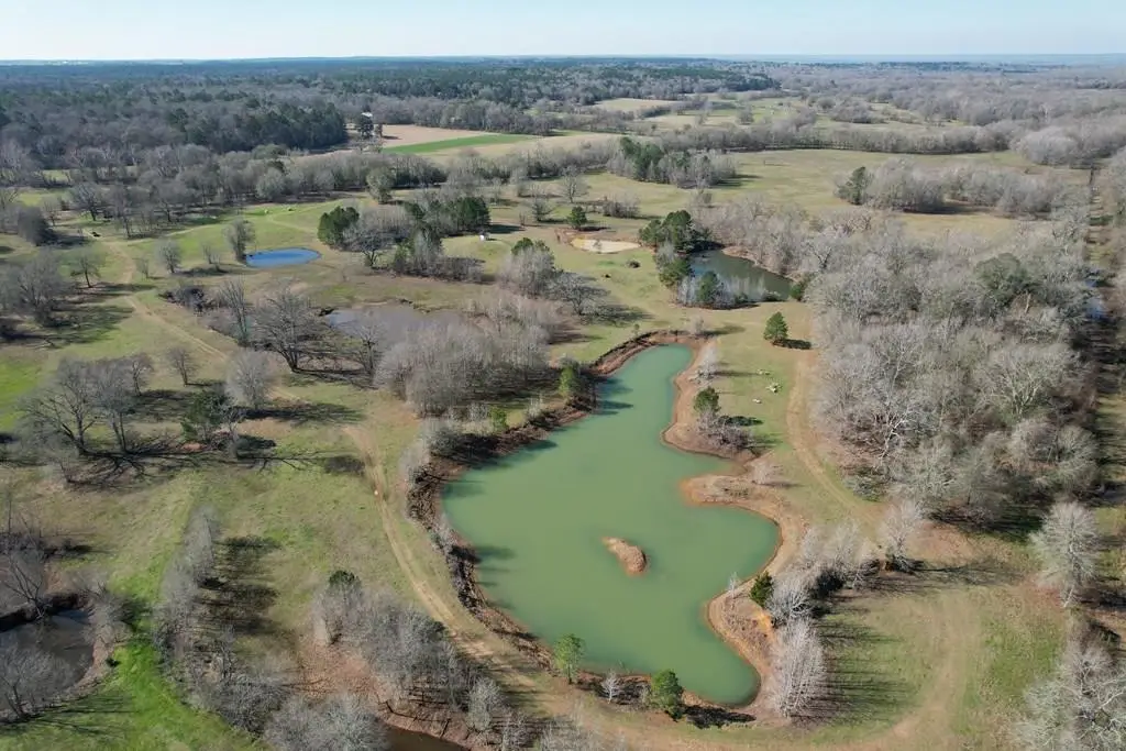 PARCEL #22335 Fm 2076, Crockett, TX 75835 - #1