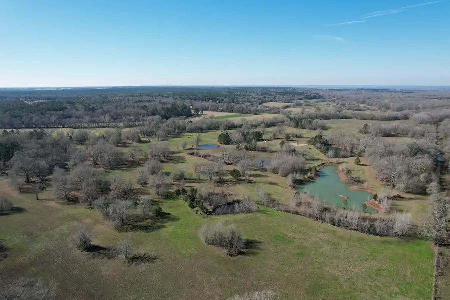 PARCEL #22335 Fm 2076, Crockett, TX 75835 - #2
