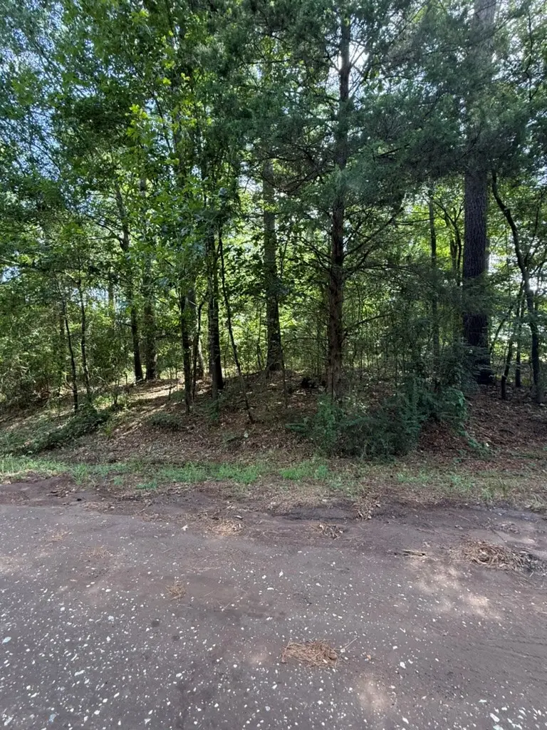 PID 17829 Tejas Drive, Garrison, TX 75946 - #2