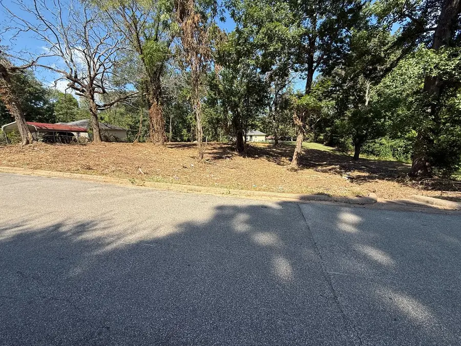 1213 Bolton Street, Center, TX 75935 - #2